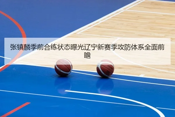 张镇麟季前合练状态曝光辽宁新赛季攻防体系全面前瞻（BaJIeSPORtS）